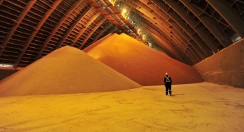 Brasil tem reservas de potássio para abastecer agricultura até 2100, diz pesquisa